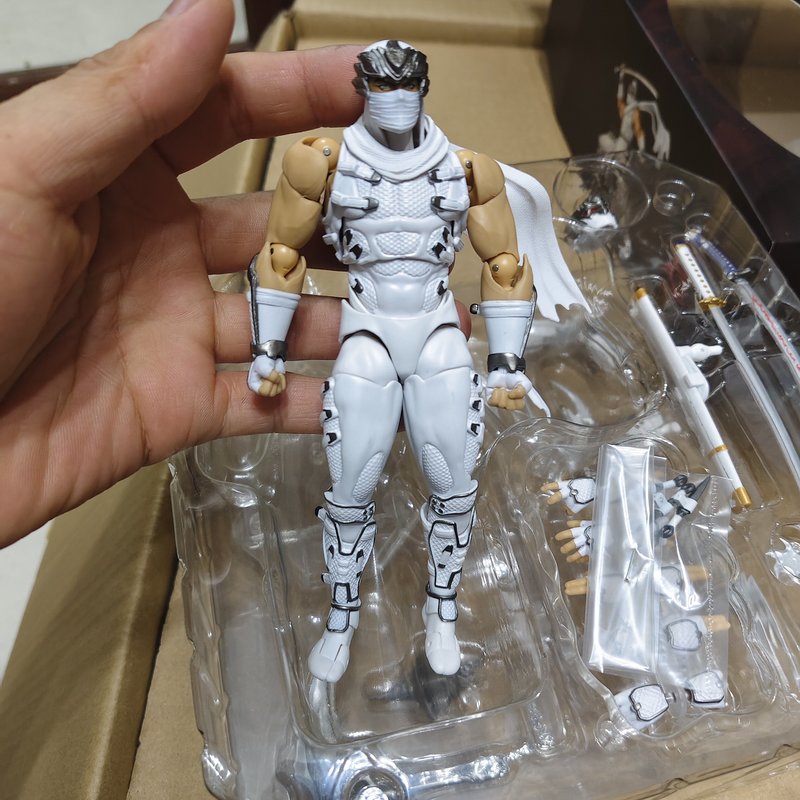 1/12 AC Ninja Gaiden Ryu Hayab - Model Kit Ninja review and price